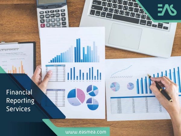 Financial Reporting Services in Dubai UAE