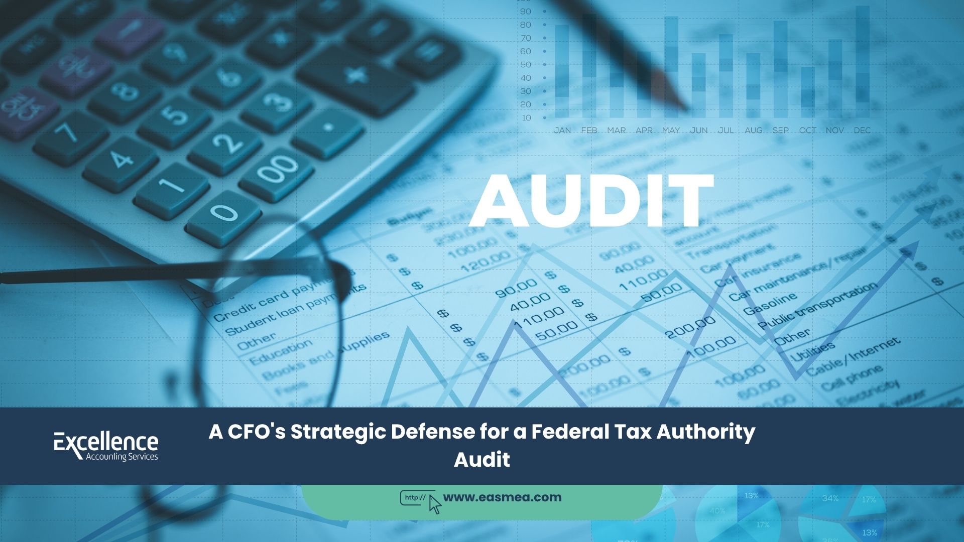 A Cfo'S Strategic Defense For A Federal Tax Authority Audit