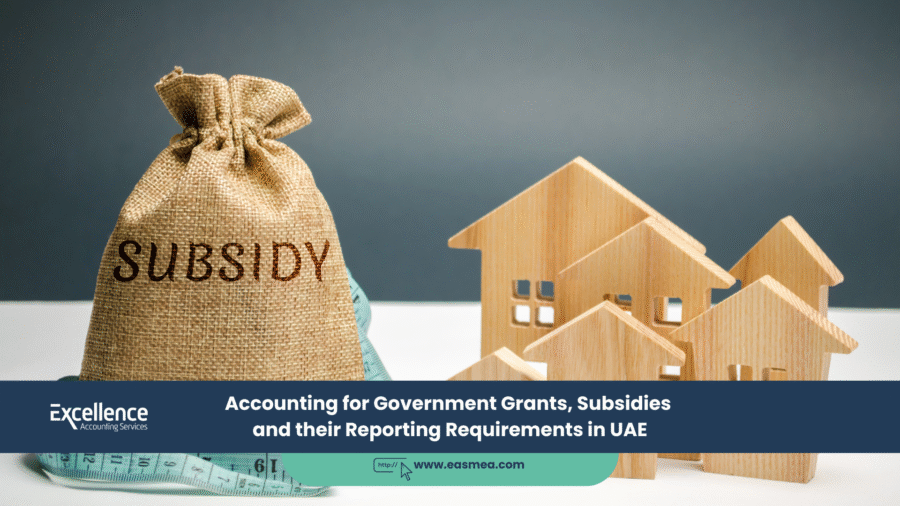 Accounting For Government Grants, Subsidies And Their Reporting Requirements In Uae