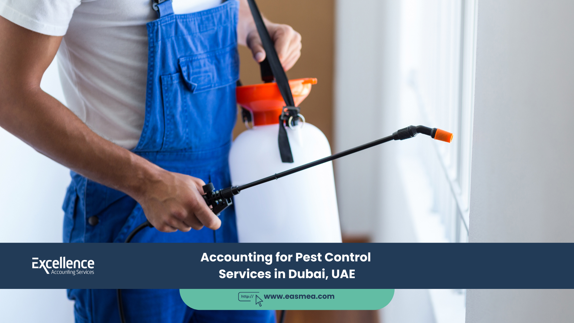 Accounting For Pest Control Services In Dubai, Uae 10 Accounting For Pest Control Services In Dubai, Uae