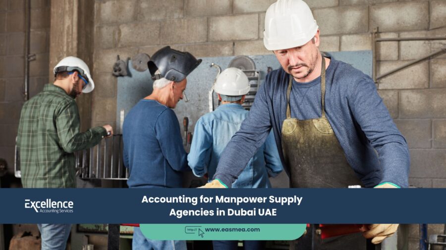 Accounting For Manpower Supply Agencies In Dubai Uae