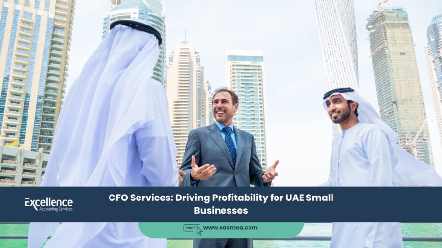 Cfo Services_ Driving Profitability For Uae Small Businesses