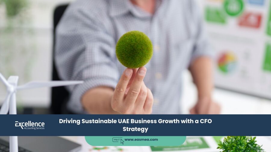 Driving Sustainable Uae Business Growth With A Cfo Strategy