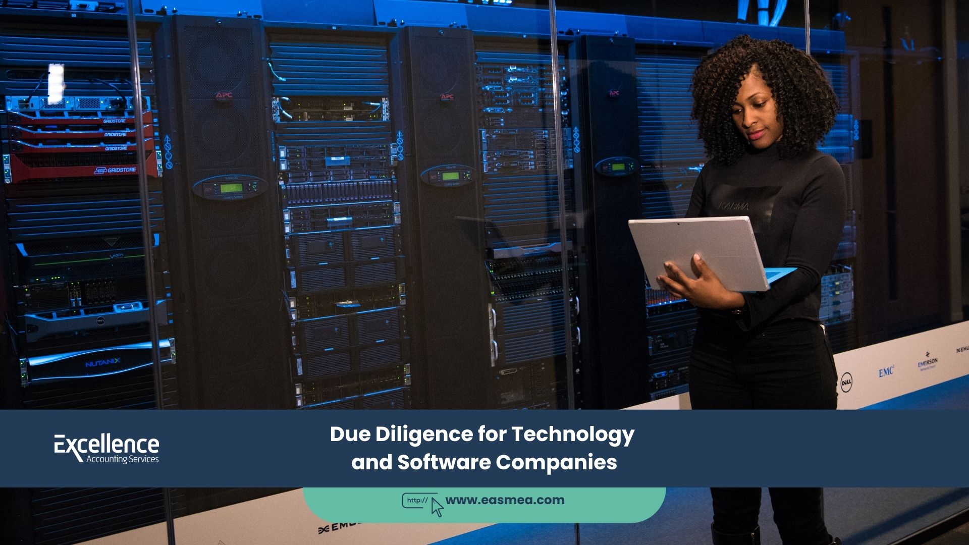 Due Diligence For Technology And Software Companies
