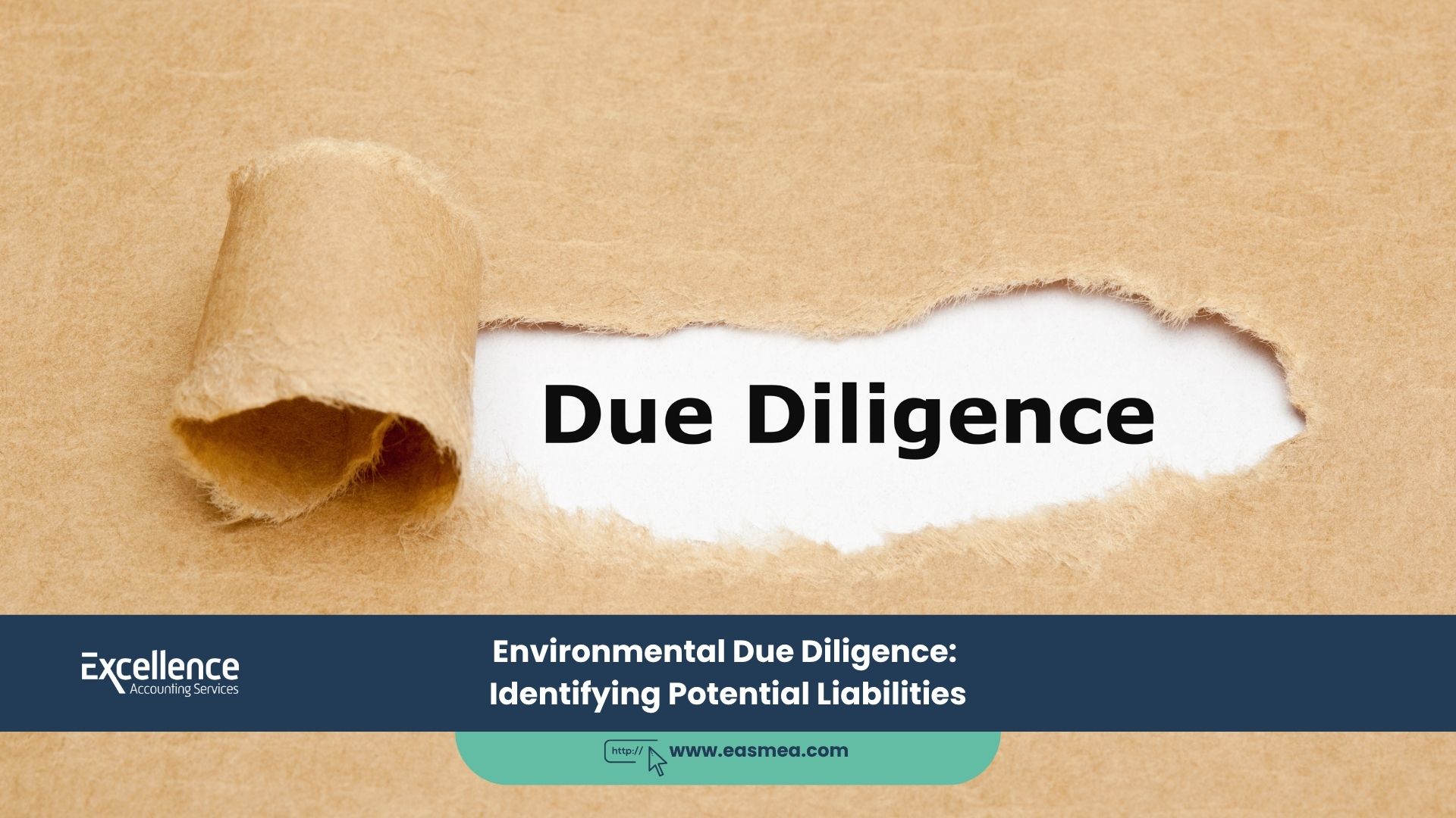 Environmental Due Diligence_ Identifying Potential Liabilities