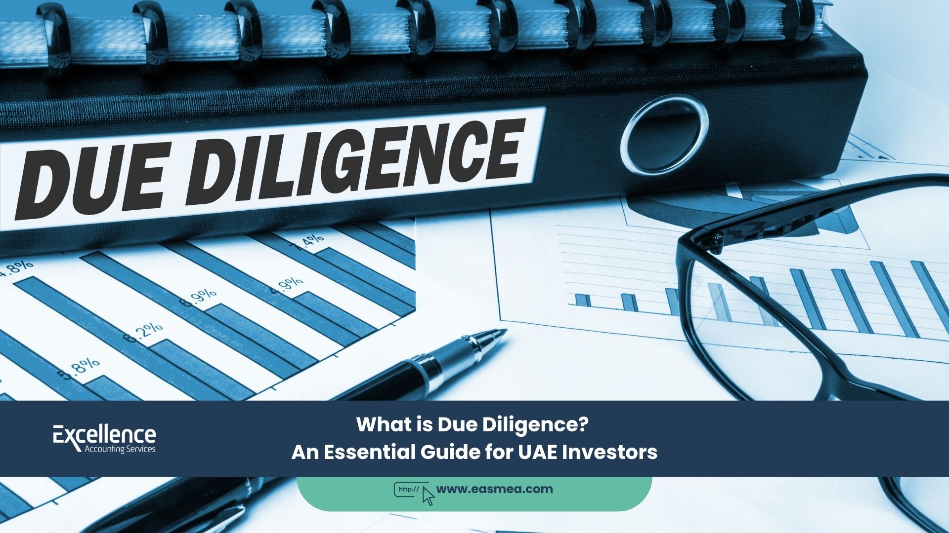 What is Due Diligence? An Essential Guide for UAE Investors 2 What is Due Diligence_ An Essential Guide for UAE Investors