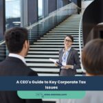 A CEO’s Guide to Key Corporate Tax Issues