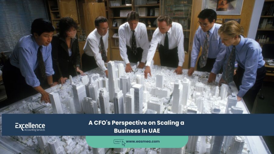 A CFO's Perspective on Scaling a Business in UAE