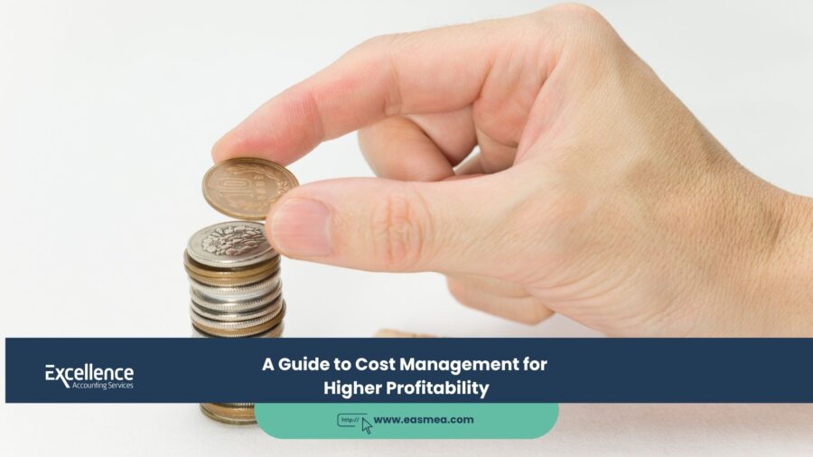 A Guide to Cost Management for Higher Profitability