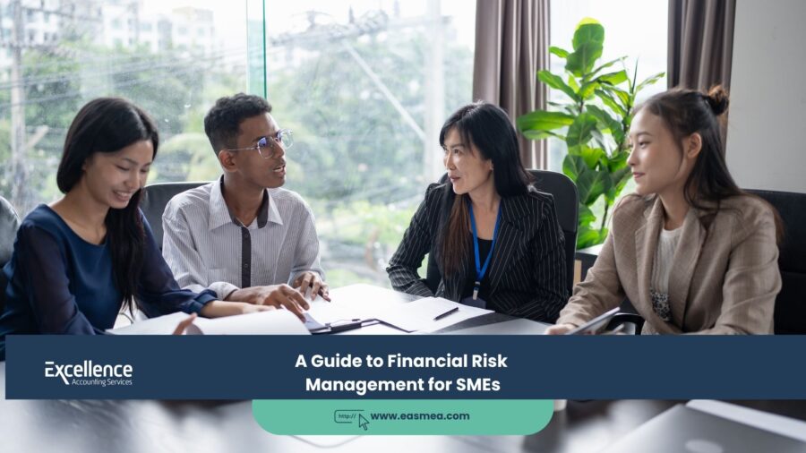 A Guide to Financial Risk Management for SMEs