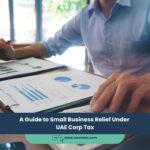 A Guide to Small Business Relief Under UAE Corp Tax