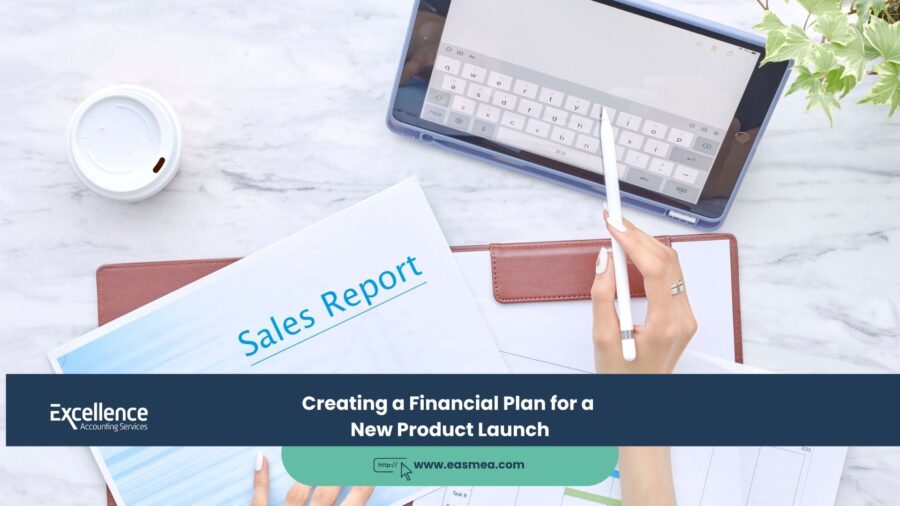Creating a Financial Plan for a New Product Launch