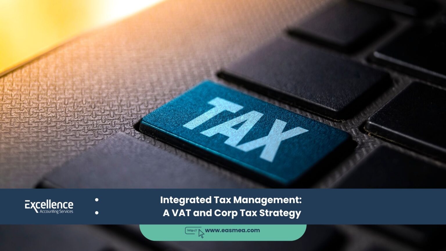 Integrated Tax Module Integrated Tax Management_ A VAT and Corp Tax Strategy