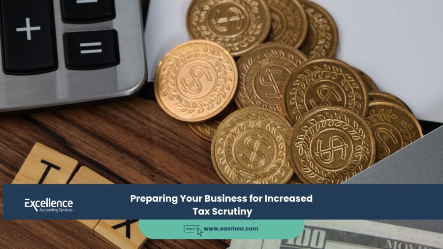 Preparing Your Business for Increased Tax Scrutiny