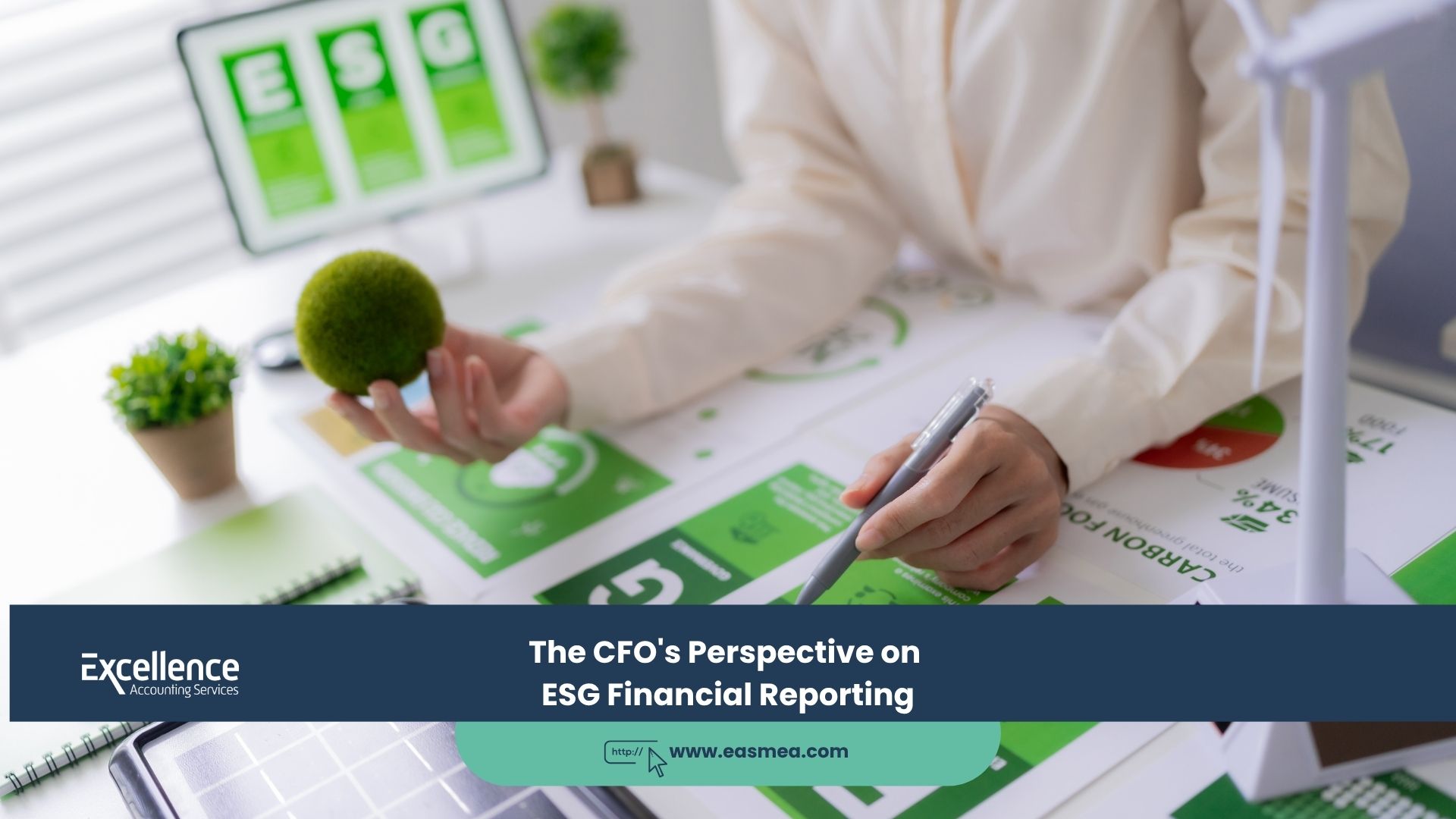 Expert Accounting Blogs and Insights for UAE Businesses 4 The CFO's Perspective on ESG Financial Reporting
