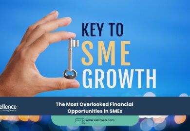 The Most Overlooked Financial Opportunities in SMEs The Most Overlooked Financial Opportunities in SMEs