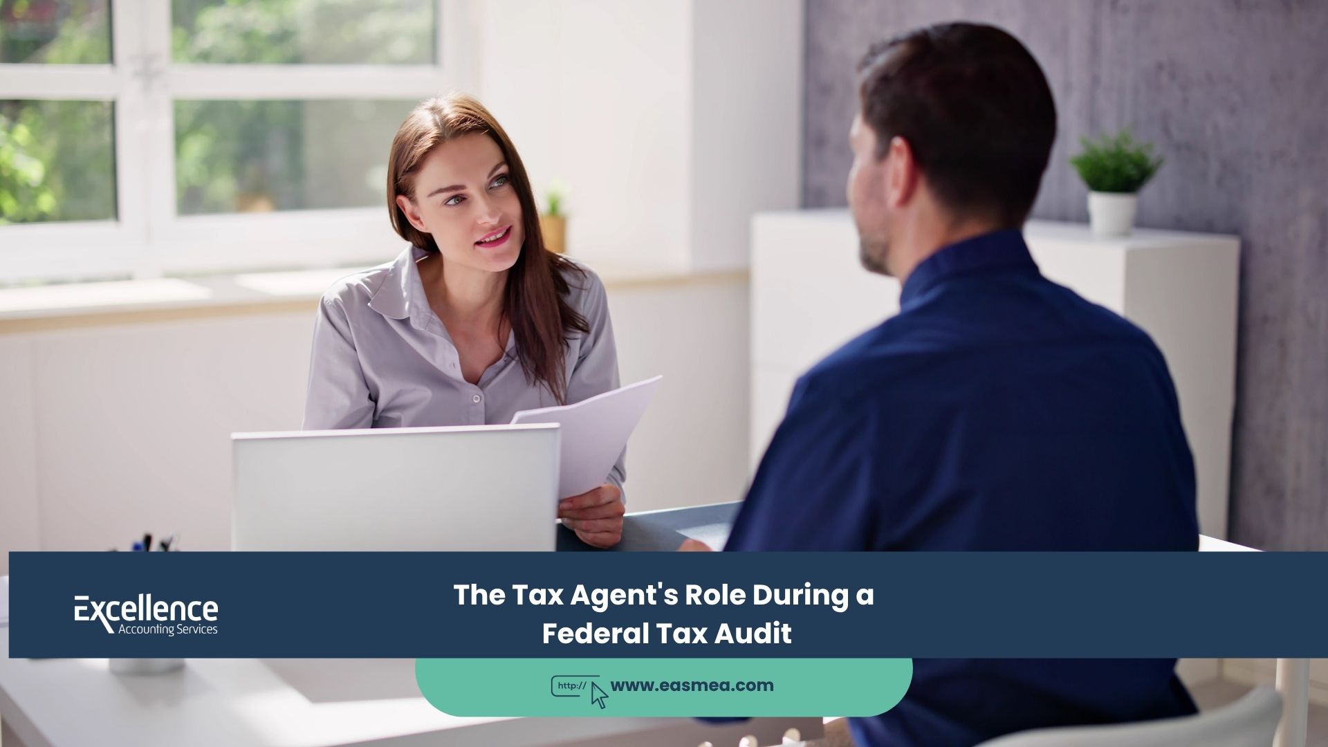 The Tax Agent's Role During a Federal Tax Audit