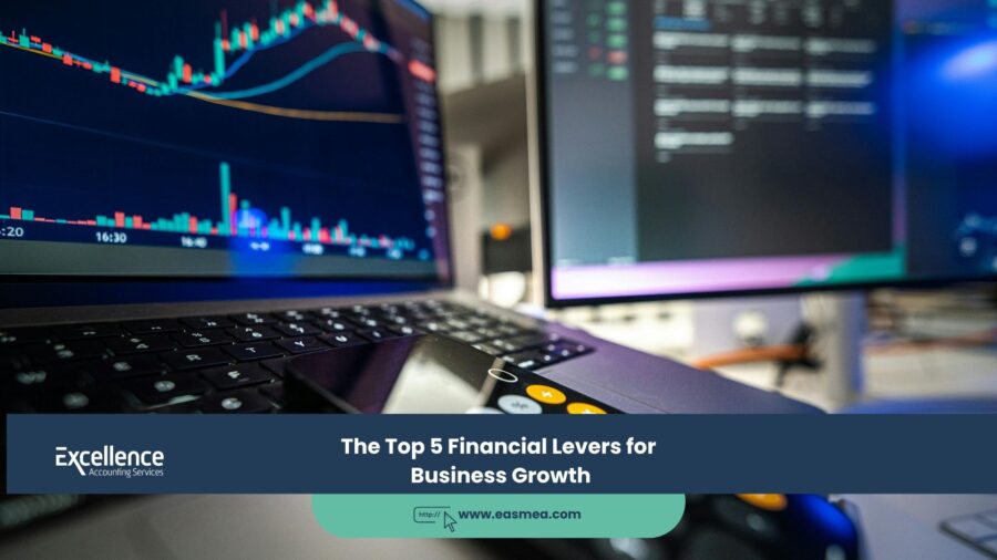 The Top 5 Financial Levers for Business Growth