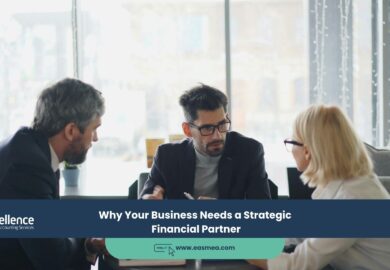 Why Your Business Needs a Strategic Financial Partner