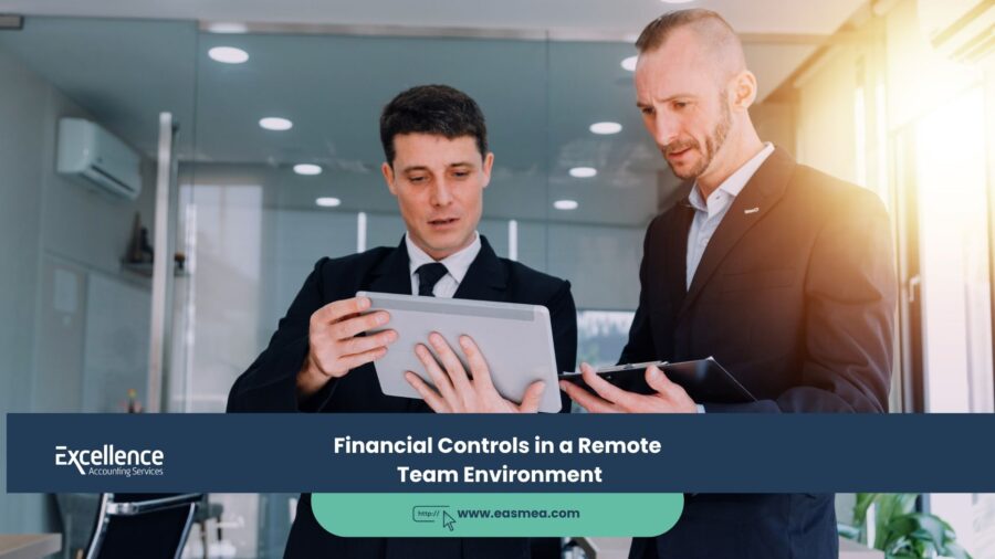 Financial Controls in a Remote Team Environment