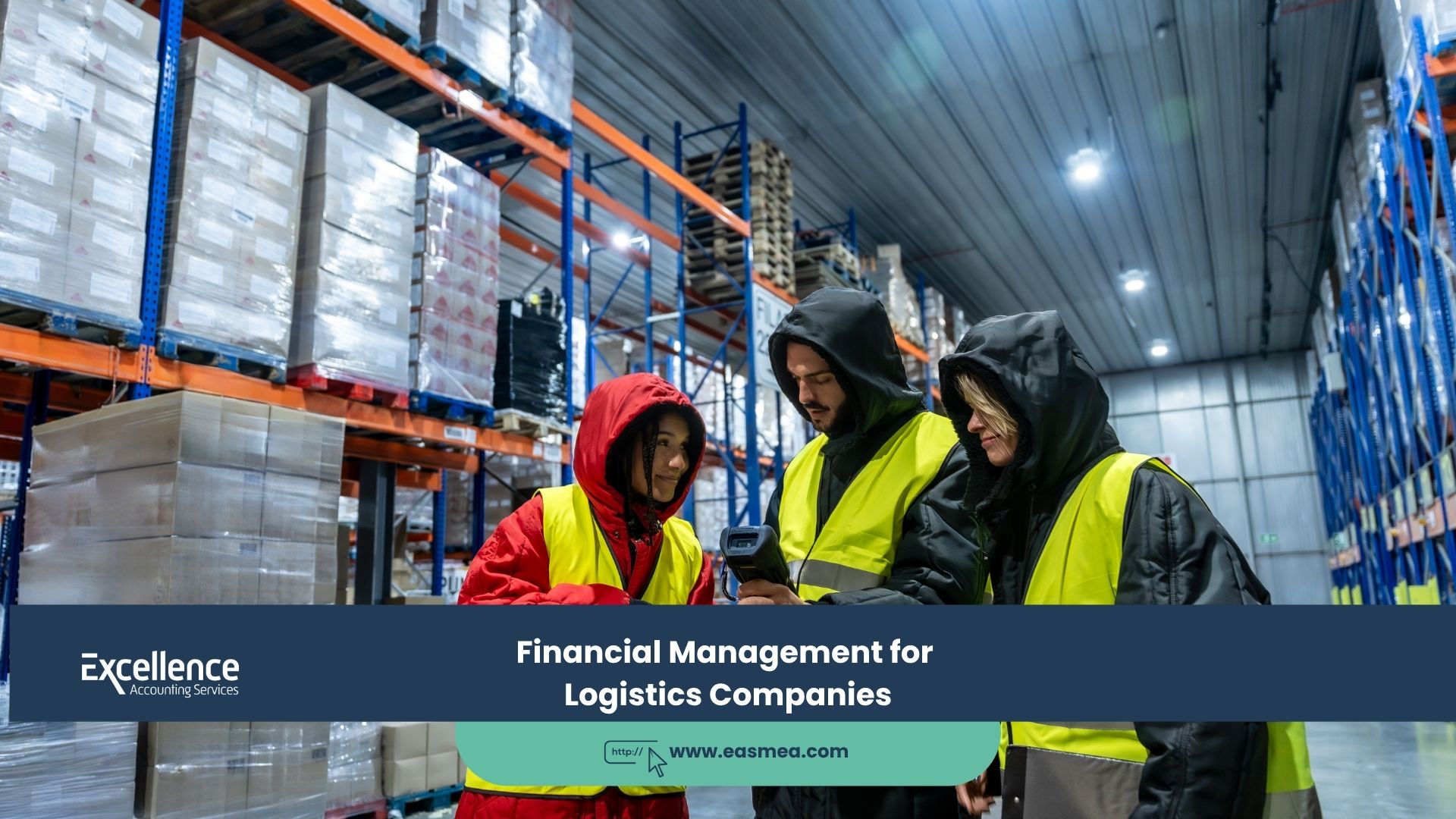 Expert Accounting Blogs and Insights for UAE Businesses 13 Financial Management for Logistics Companies