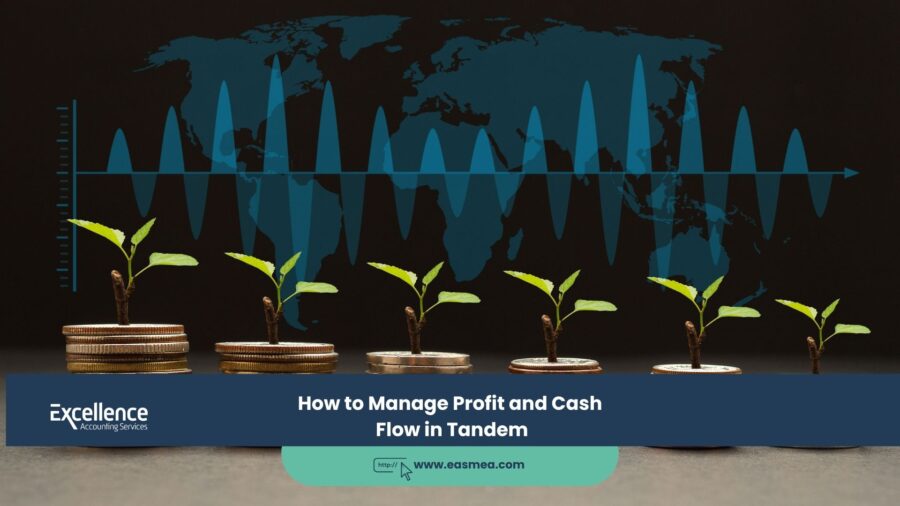 How to Manage Profit and Cash Flow in Tandem