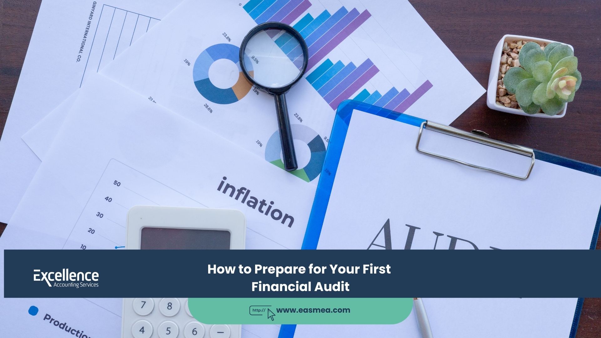 Expert Accounting Blogs and Insights for UAE Businesses 1 How to Prepare for Your First Financial Audit
