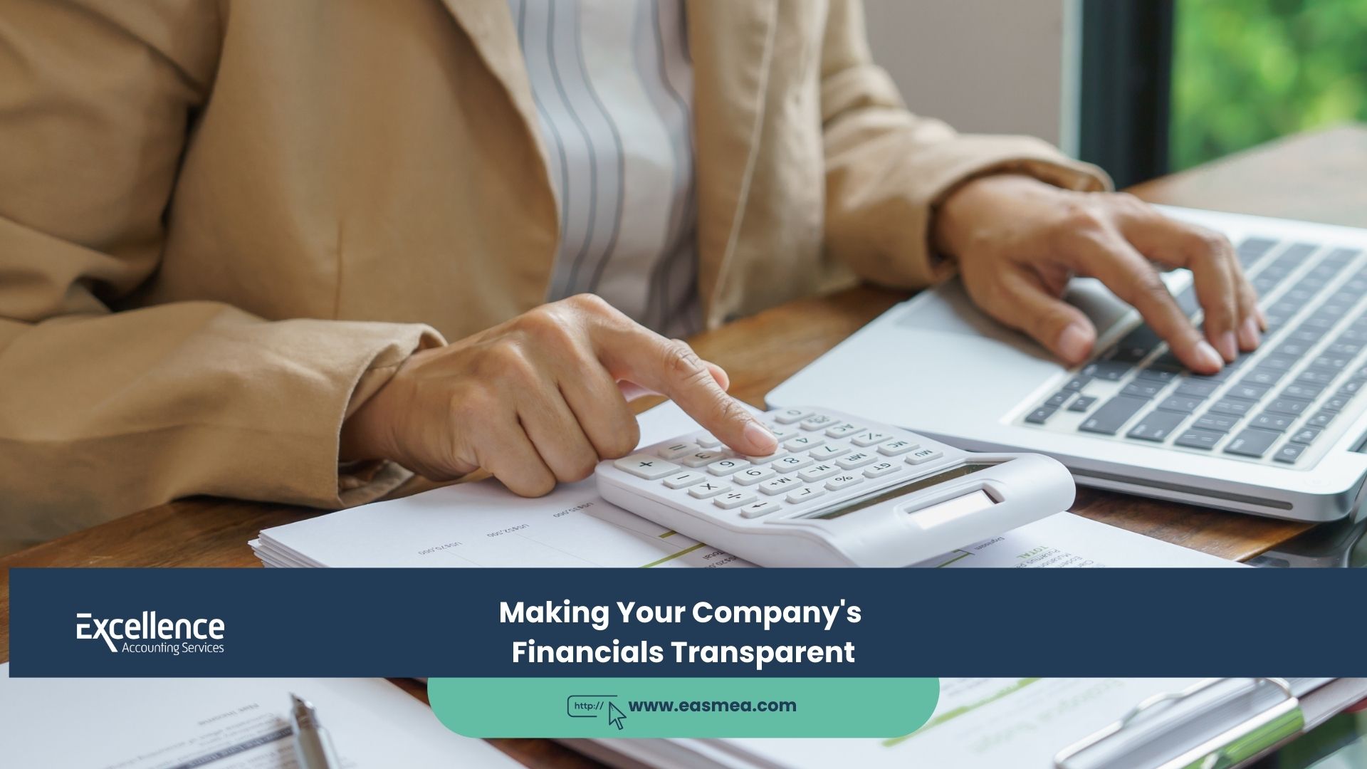Expert Accounting Blogs and Insights for UAE Businesses 2 Making Your Company's Financials Transparent