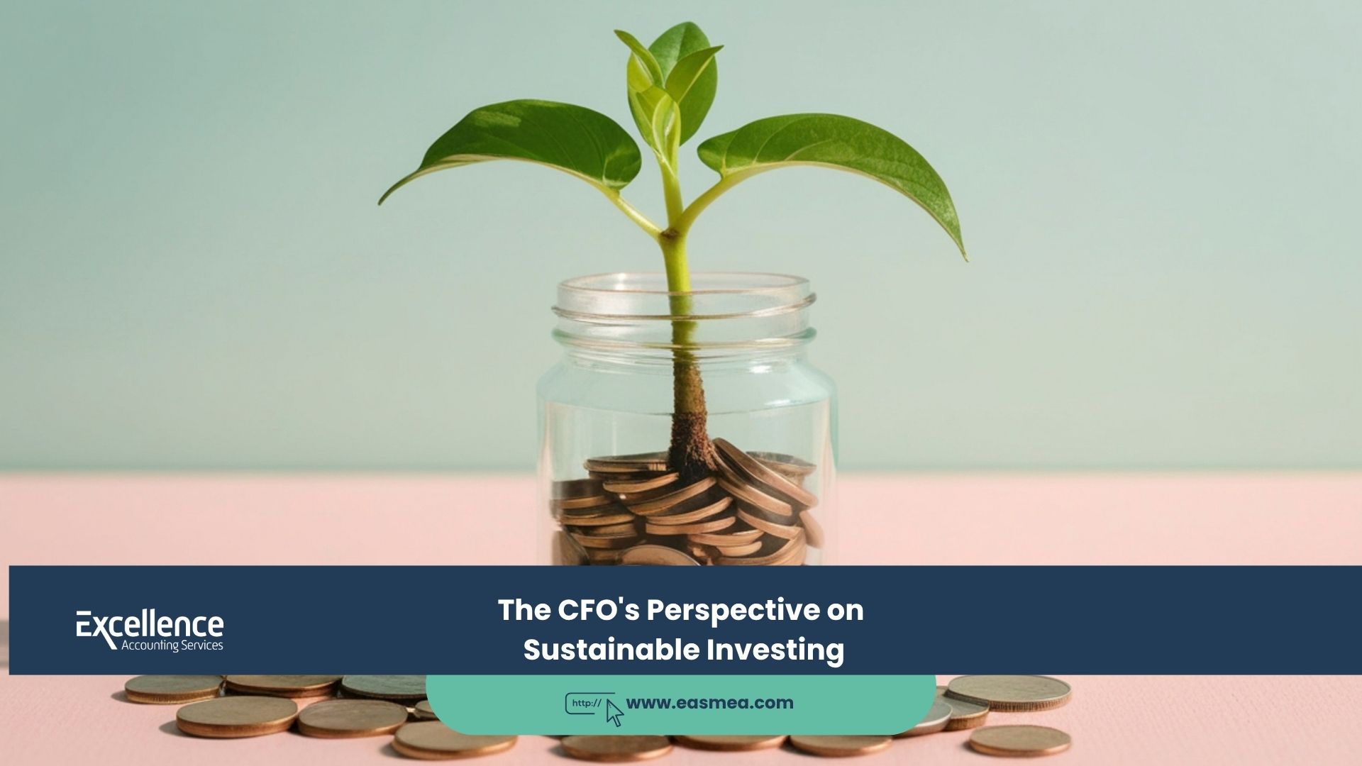 The CFO's Perspective on Sustainable Investing