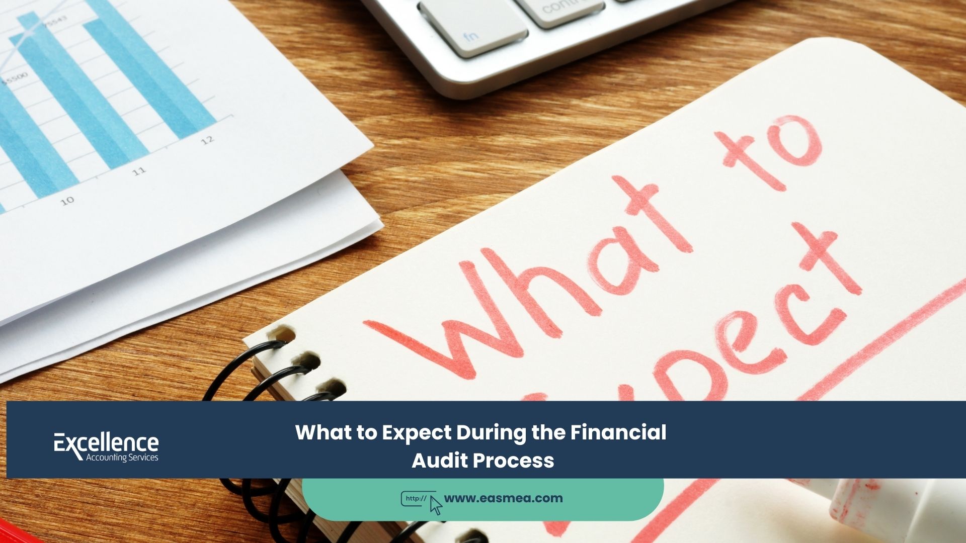 Expert Accounting Blogs and Insights for UAE Businesses 1 What to Expect During the Financial Audit Process