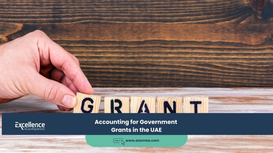 Accounting for Government Grants in the UAE