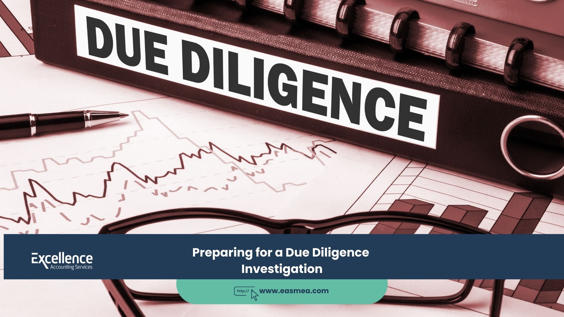 Preparing for a Due Diligence Investigation