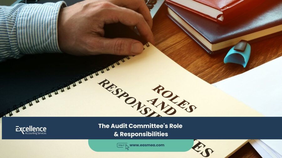The Audit Committee's Role & Responsibilities