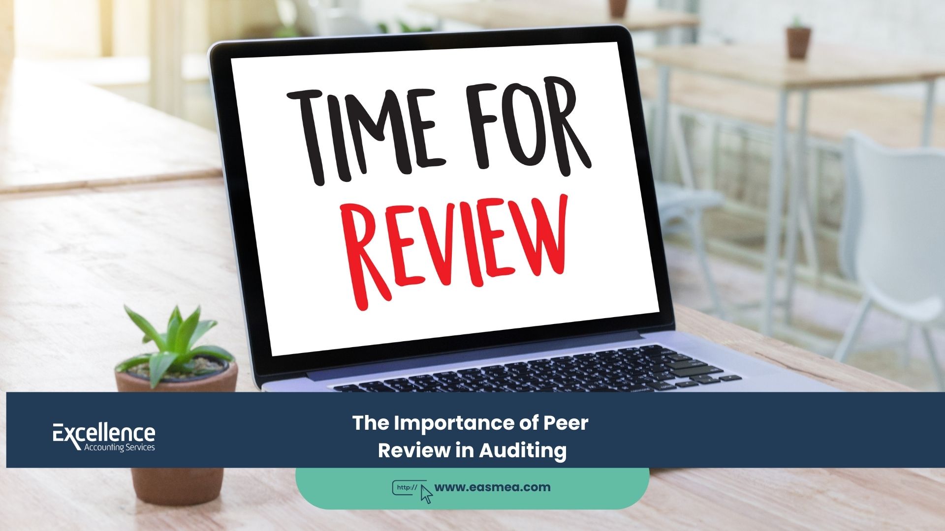 The Importance of Peer Review in Auditing