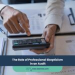 The Role of Professional Skepticism in an Audit