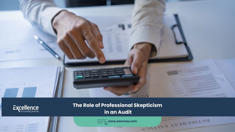 The Role of Professional Skepticism in an Audit