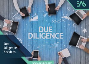 Due Diligence Services In Dubai Uae